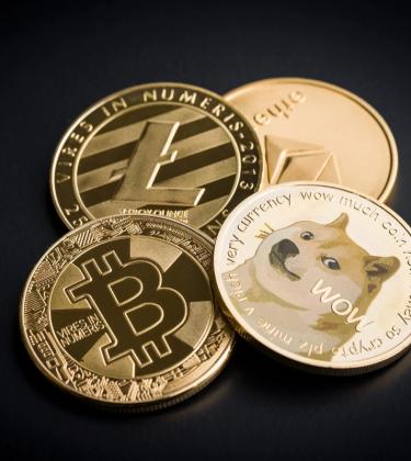 A dog-eat-dog world: the rise and fall and rise of Dogecoin