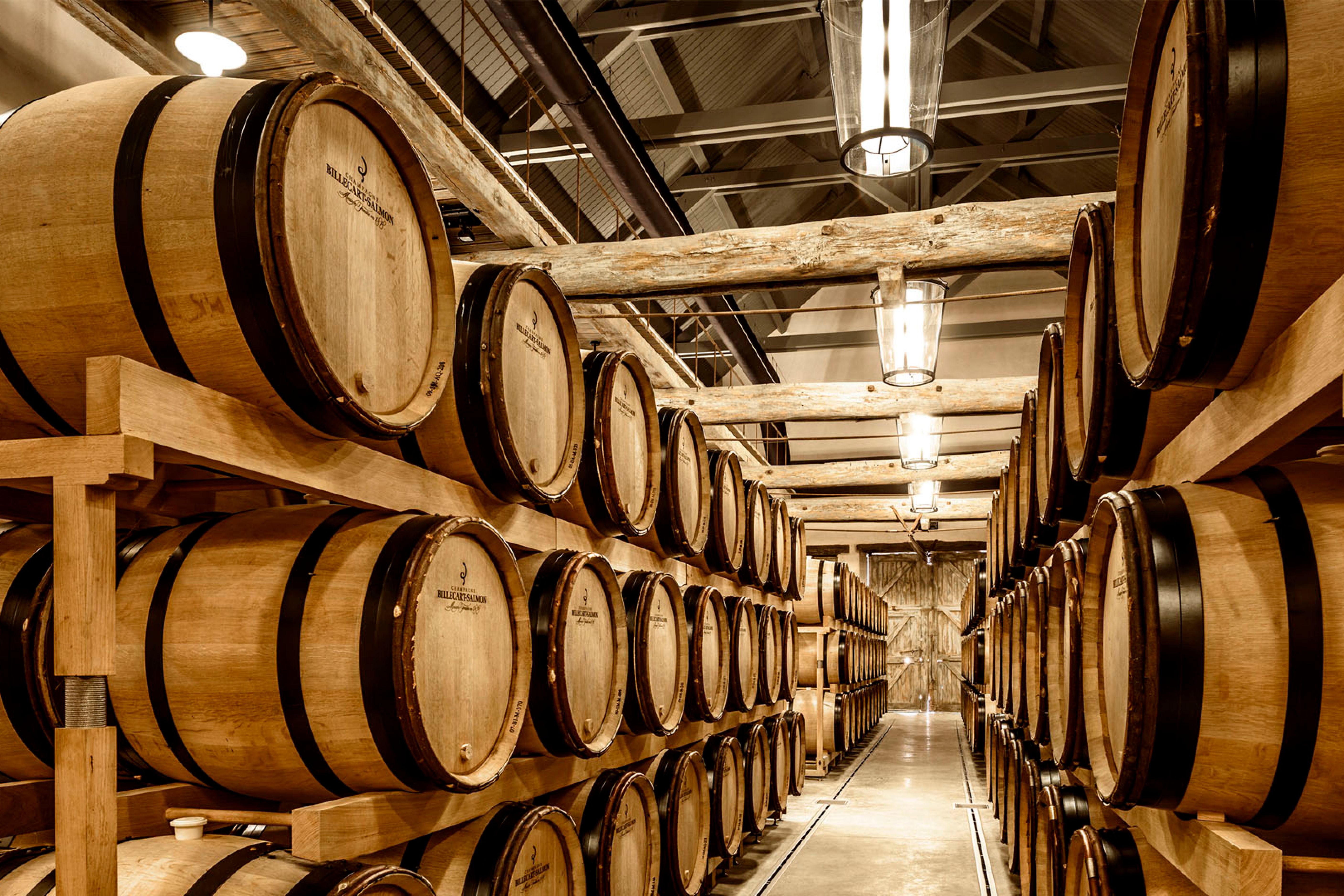 Oak barrels in the Billecart-Salmon cellar