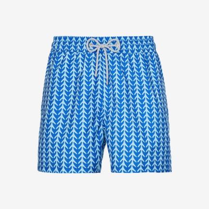 Staniel Swim Short — Whale Tale