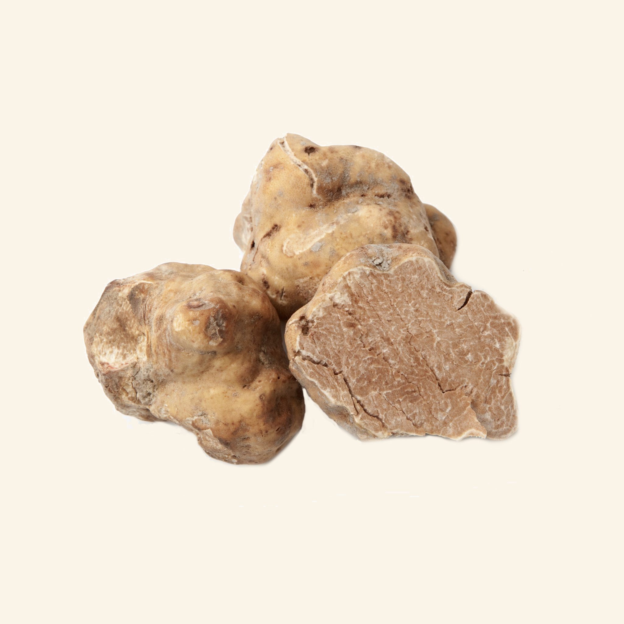 Fresh White Italian Truffles