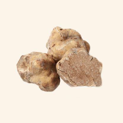 Fresh White Italian Truffles
