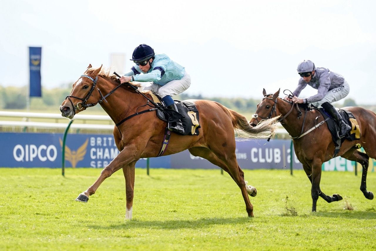 Risk and reward: what it really costs to own (or part-own) a racehorse