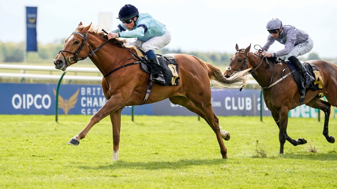 Risk and reward: what it really costs to own (or part-own) a racehorse