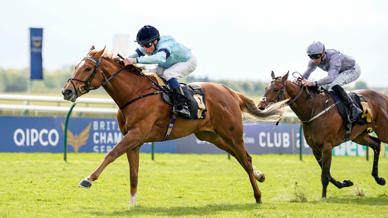 Risk and reward: what it really costs to own (or part-own) a racehorse