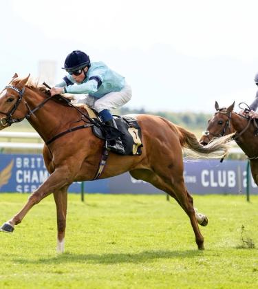 Risk and reward: what it really costs to own (or part-own) a racehorse