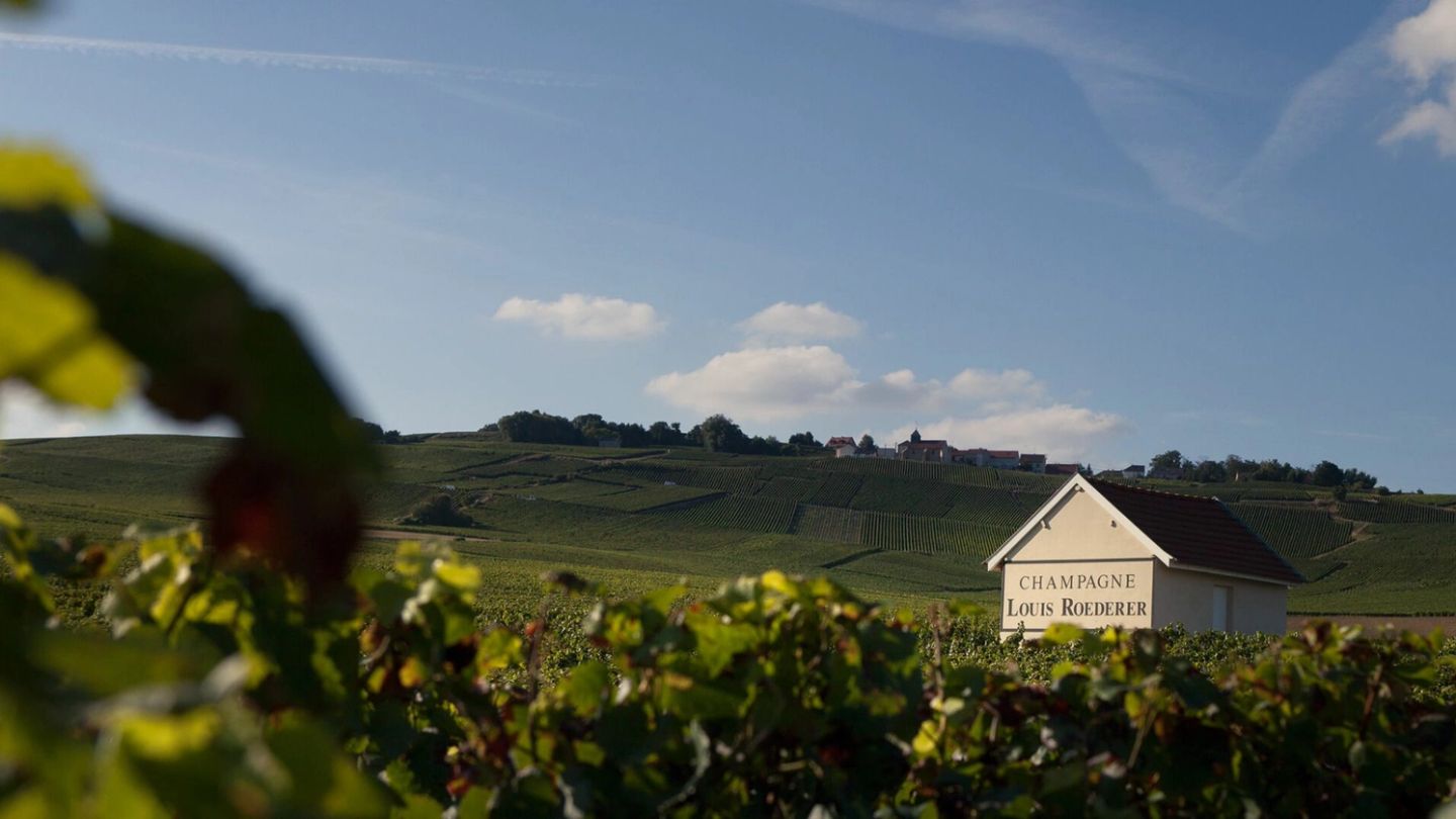 Watches and wines: Why Vacheron Constantin and Louis Roederer are the perfect pairing