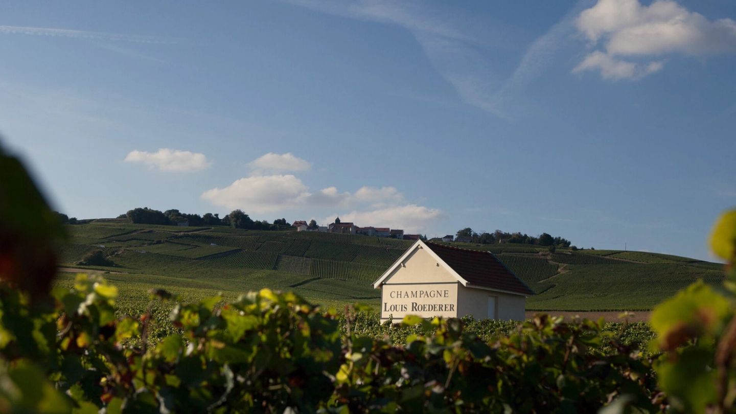 Watches and wines: Why Vacheron Constantin and Louis Roederer are the perfect pairing