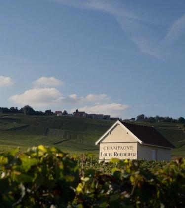 louis roederer hero