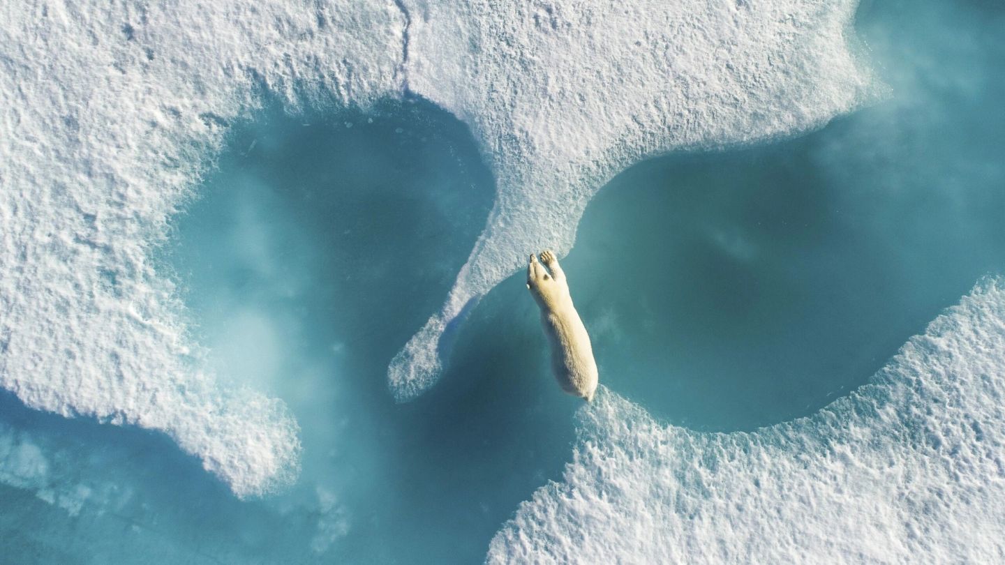The most amazing drone photos you’ll see all year