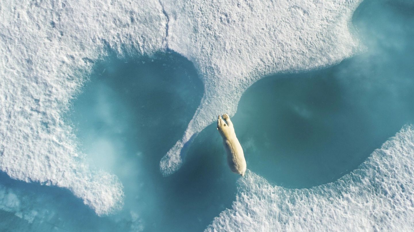 The most amazing drone photos you’ll see all year