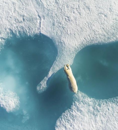 The most amazing drone photos you’ll see all year