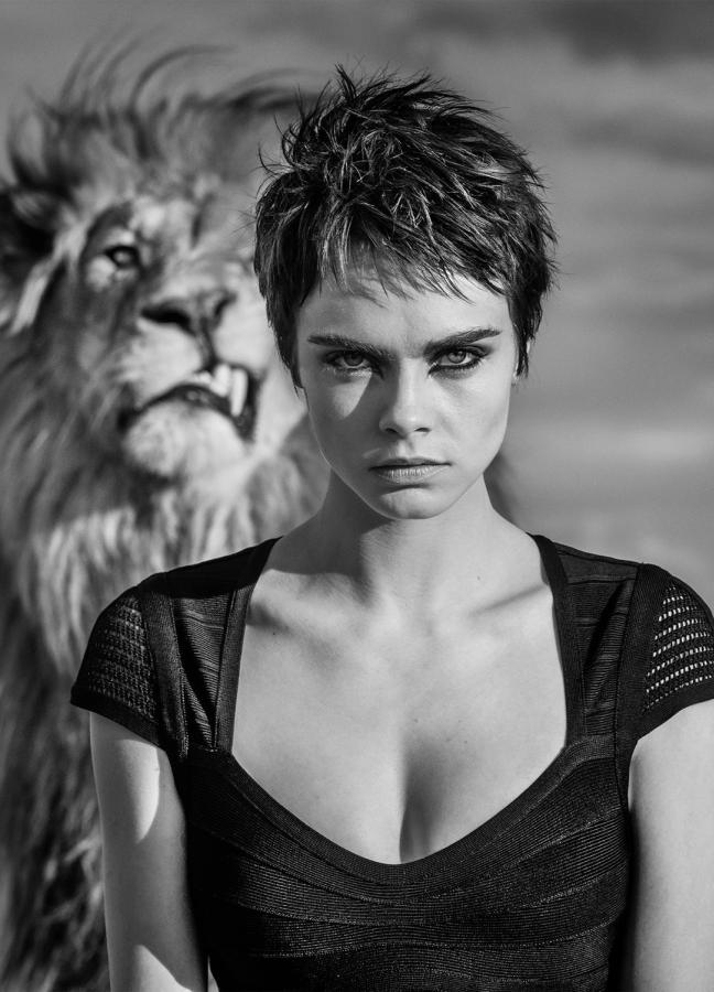 david yarrow photographs