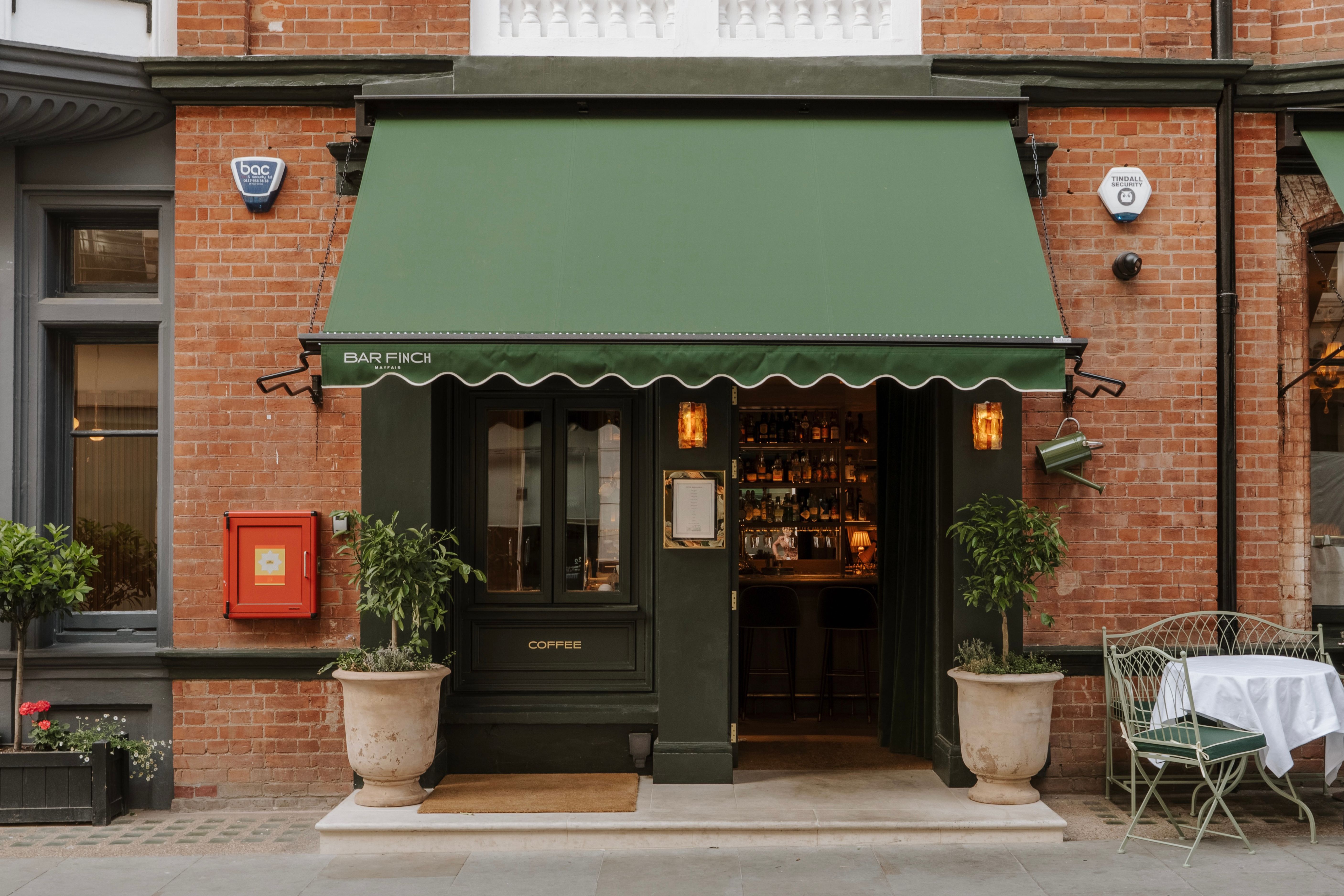 Bar Finch hopes to re-wild Mayfair