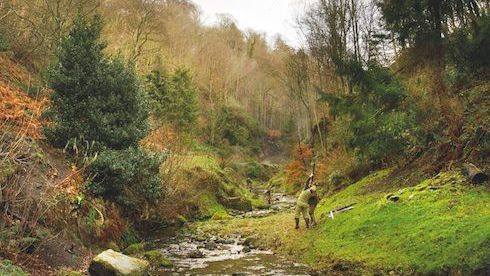 The best shoots in the UK 2015/2016