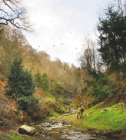 The best shoots in the UK 2015/2016