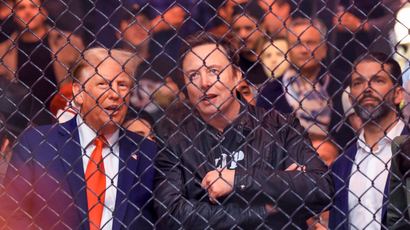 How Tesla short-sellers lost nearly $8bn