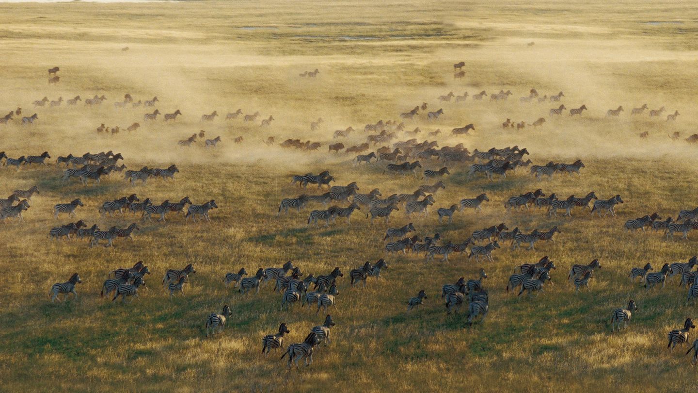 The road not taken: looking beyond the checklists, True Travel will show you the world’s untouched corners