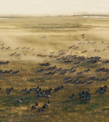 The road not taken: looking beyond the checklists, True Travel will show you the world’s untouched corners