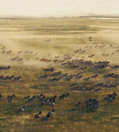 The road not taken: looking beyond the checklists, True Travel will show you the world’s untouched corners
