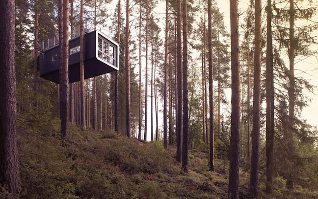 thecabintreehouse