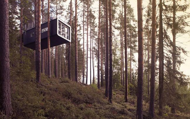 thecabintreehouse
