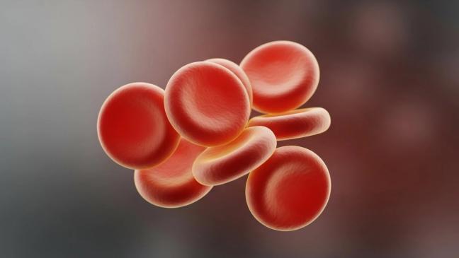 Heart, Blood And The Subtle Health Bonuses