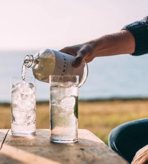 What makes a good alcohol free spirit?