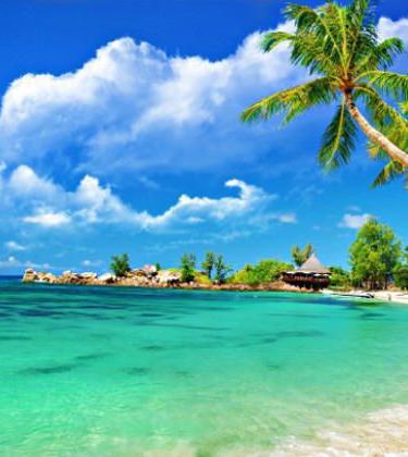 5 apps to take on holiday