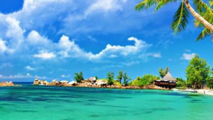 5 apps to take on holiday