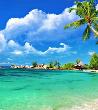 5 apps to take on holiday