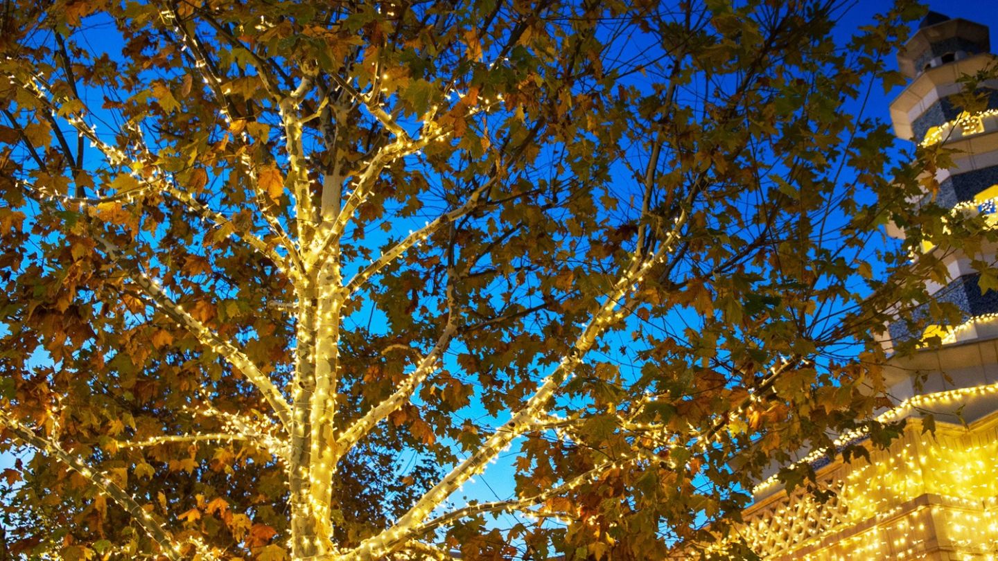Celebrate a stylish Christmas at Madrid’s Las Rozas Village