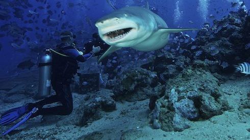 The most extreme travel destinations the world has to offer