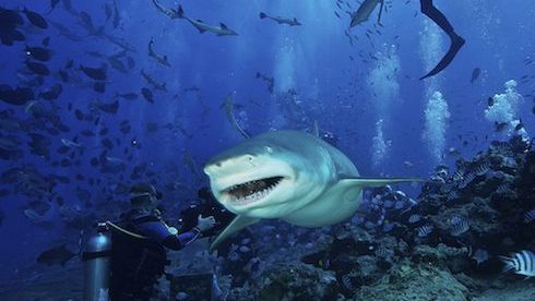 The most extreme travel destinations the world has to offer
