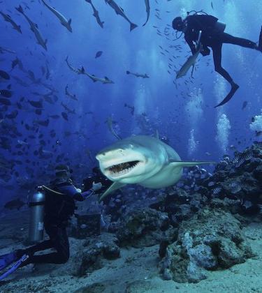 The most extreme travel destinations the world has to offer