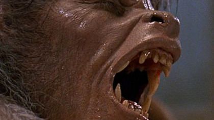 The 5 best films to watch at Halloween