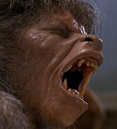 The 5 best films to watch at Halloween