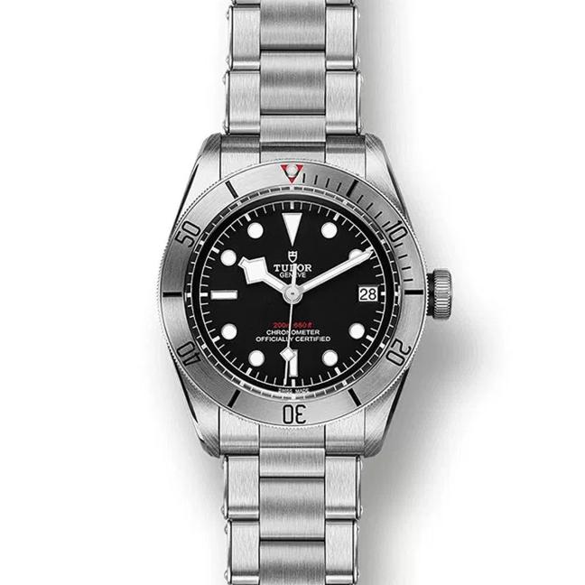 Tudor Heritage black bay steel watch