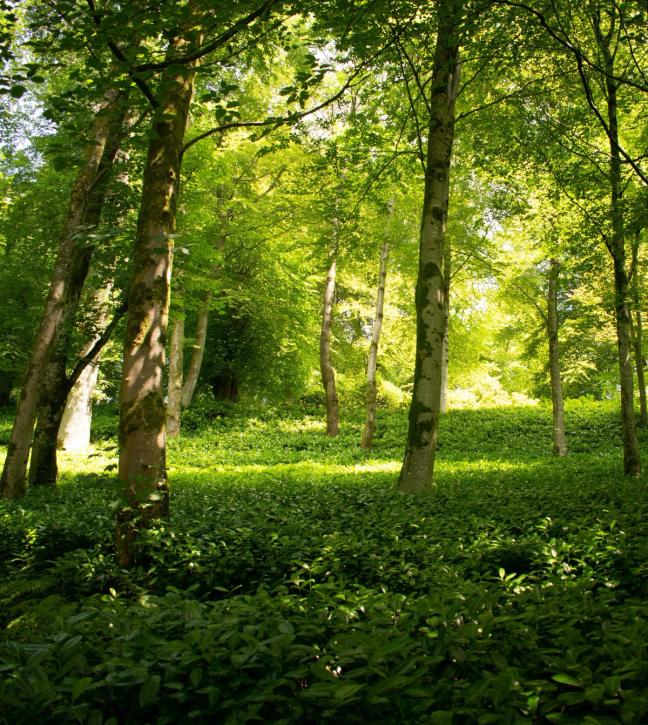 melinda stevens best uk staycations