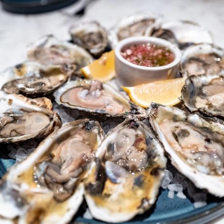 Oysters