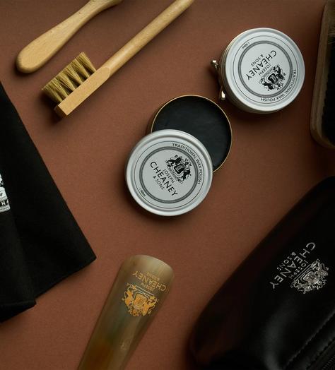 leather shoe care