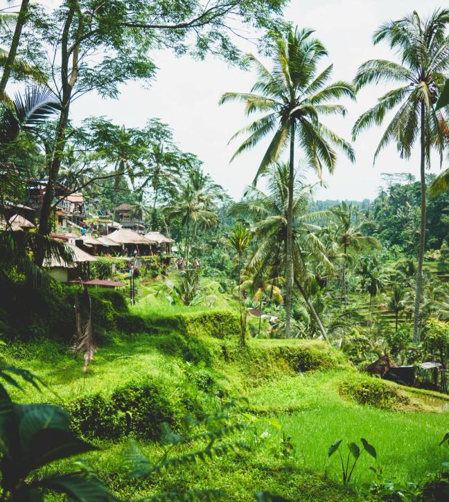 bali