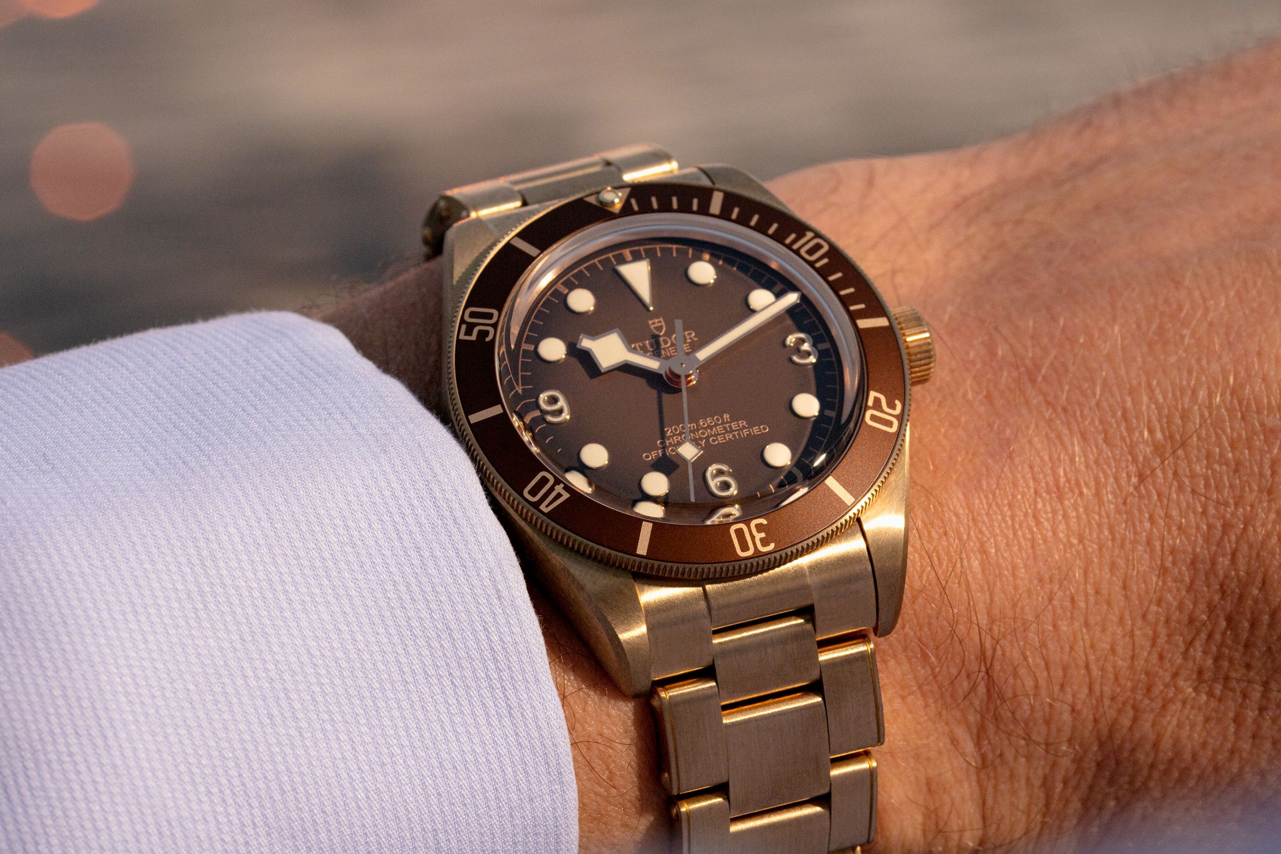 Tudor black clearance bay bronze investment