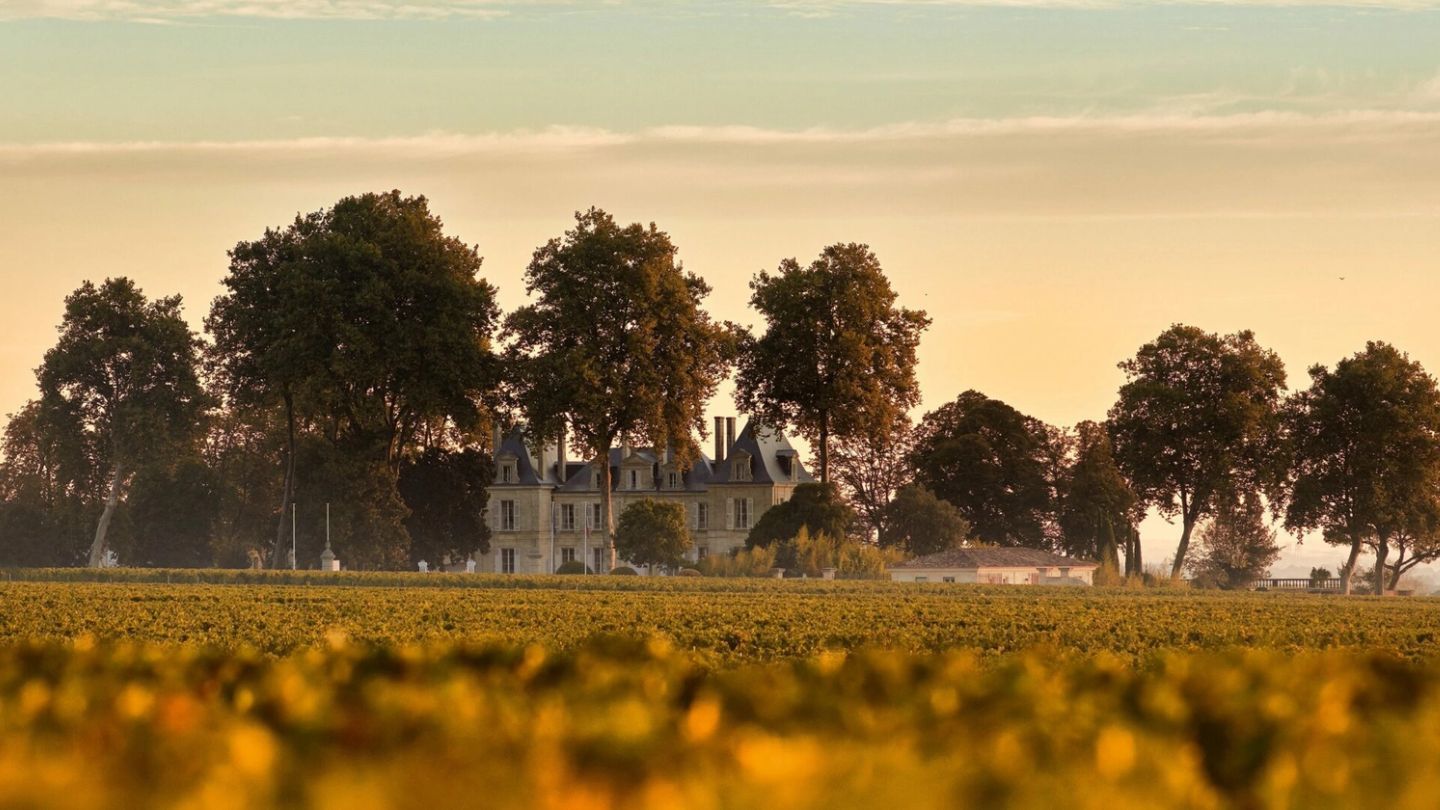 Forget machines and target markets – emotion is the key ingredient in great wine