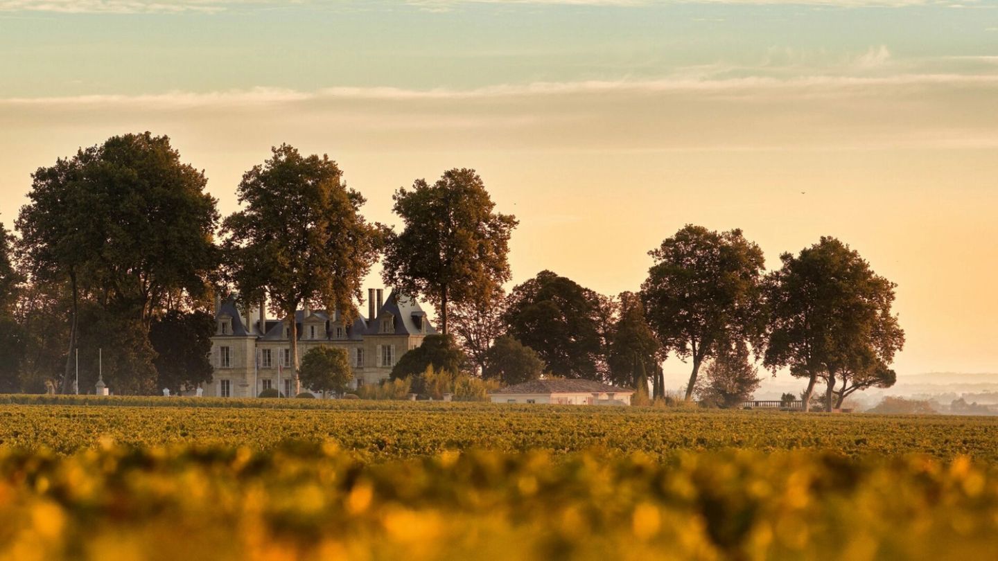Forget machines and target markets – emotion is the key ingredient in great wine