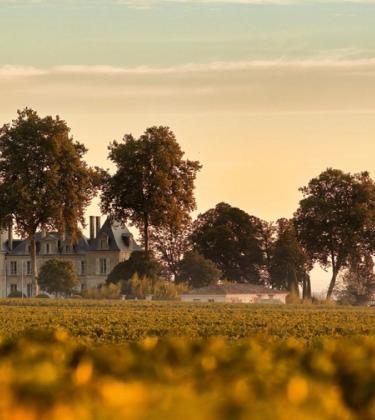 Forget machines and target markets – emotion is the key ingredient in great wine