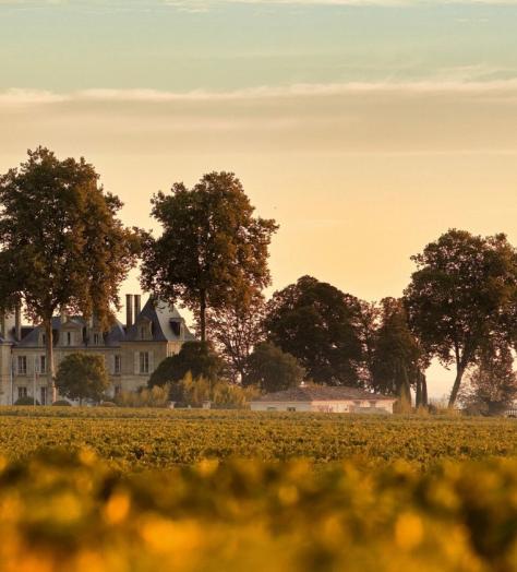 Forget machines and target markets – emotion is the key ingredient in great wine