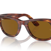 Original Wayfarer Classic