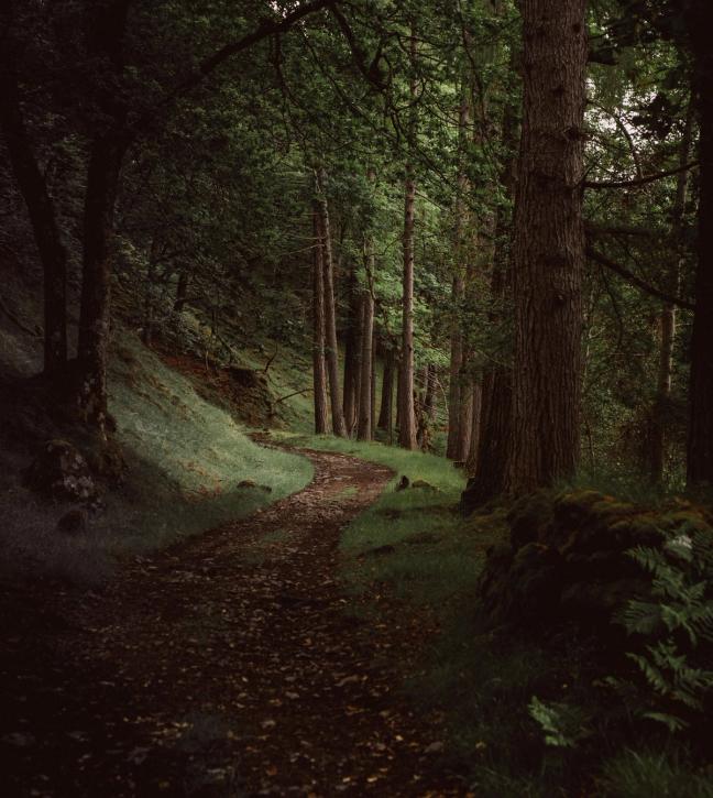 best uk staycations alice wybrew caingorms