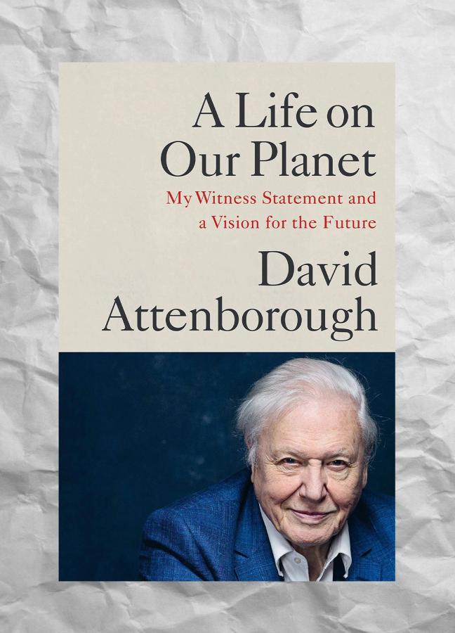 life on our planet