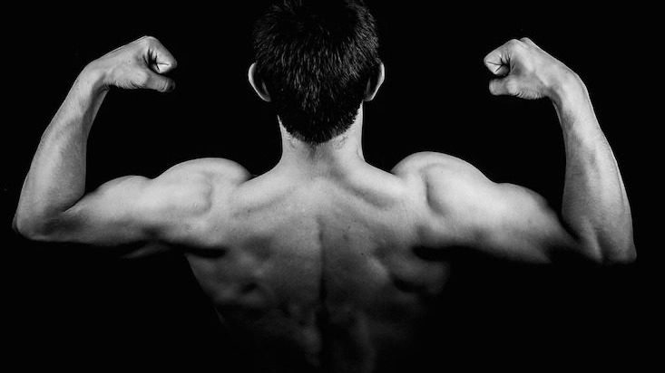 The ultimate workout guide for the home and gym